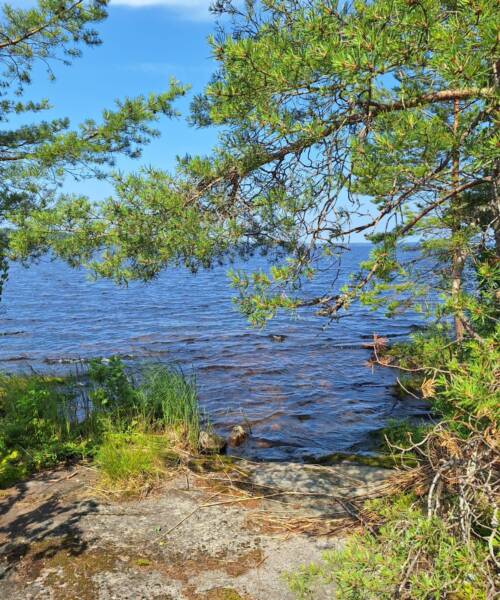 Peronsaari