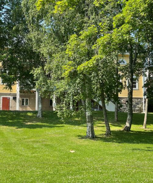 Räikkä