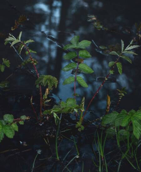 abby-rurenko-hsfLfixqZcw-unsplash abby-rurenko-hsfLfixqZcw-unsplash